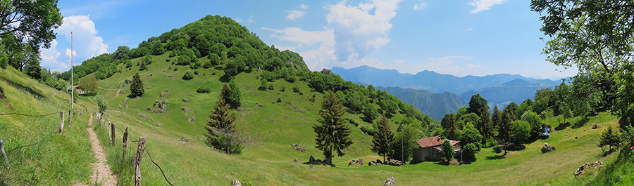 Monte Zucco visto dalla bella verde radura prativa antikstante